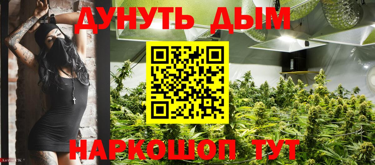 Канабис Amnesia Великие Луки